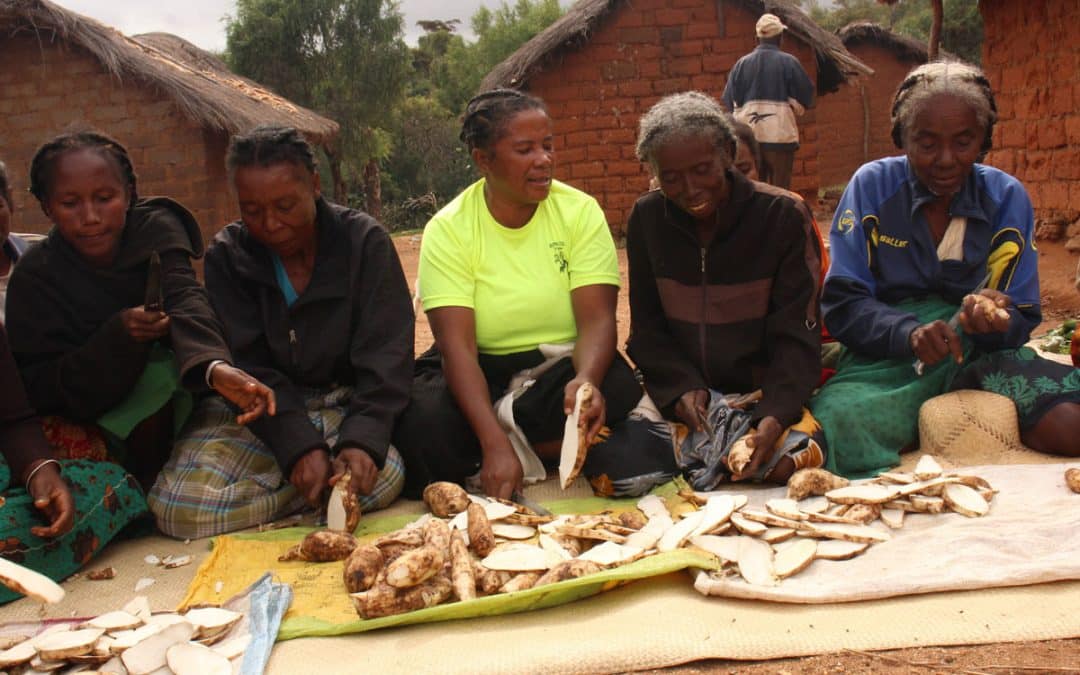 RECRUTEMENT – ASSISTANT.E MEAL, poste basé à Mahajanga