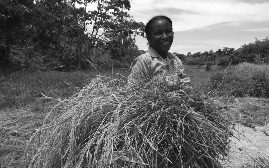 Recrutement- Un.e Technicien.ne en Agriculture et Nutrition