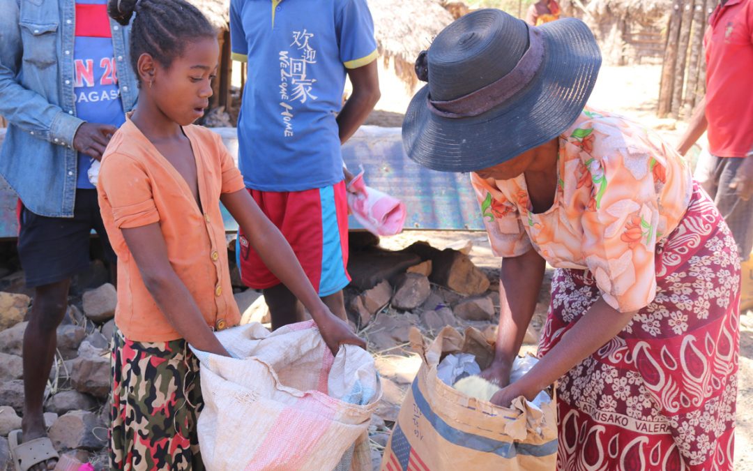 Recrutement- Deux Assistant.e.s Techniques en Agriculture et Nutrition