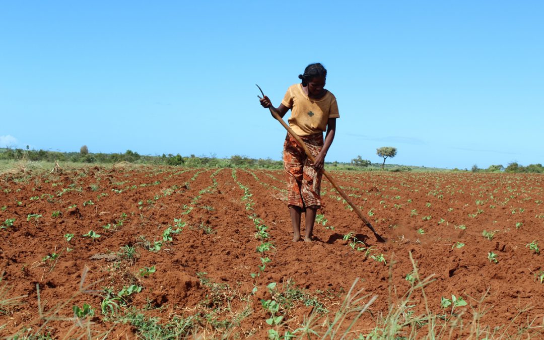 RECRUTEMENT D’UN(E) CONSULTANT(E) INDIVIDUEL(LE) Pour l’élaboration d’un document cadre dédié au suivi indépendant et participatif de projets financés par le Fonds Vert pour le Climat (FVC) à l’attention des OSCs malagasy
