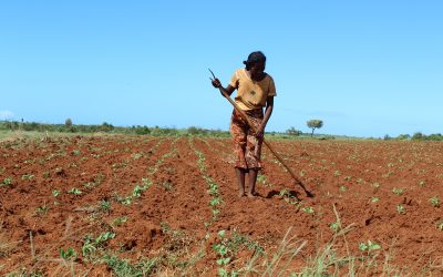 RECRUTEMENT D’UN(E) CONSULTANT(E) INDIVIDUEL(LE) Pour l’élaboration d’un document cadre dédié au suivi indépendant et participatif de projets financés par le Fonds Vert pour le Climat (FVC) à l’attention des OSCs malagasy